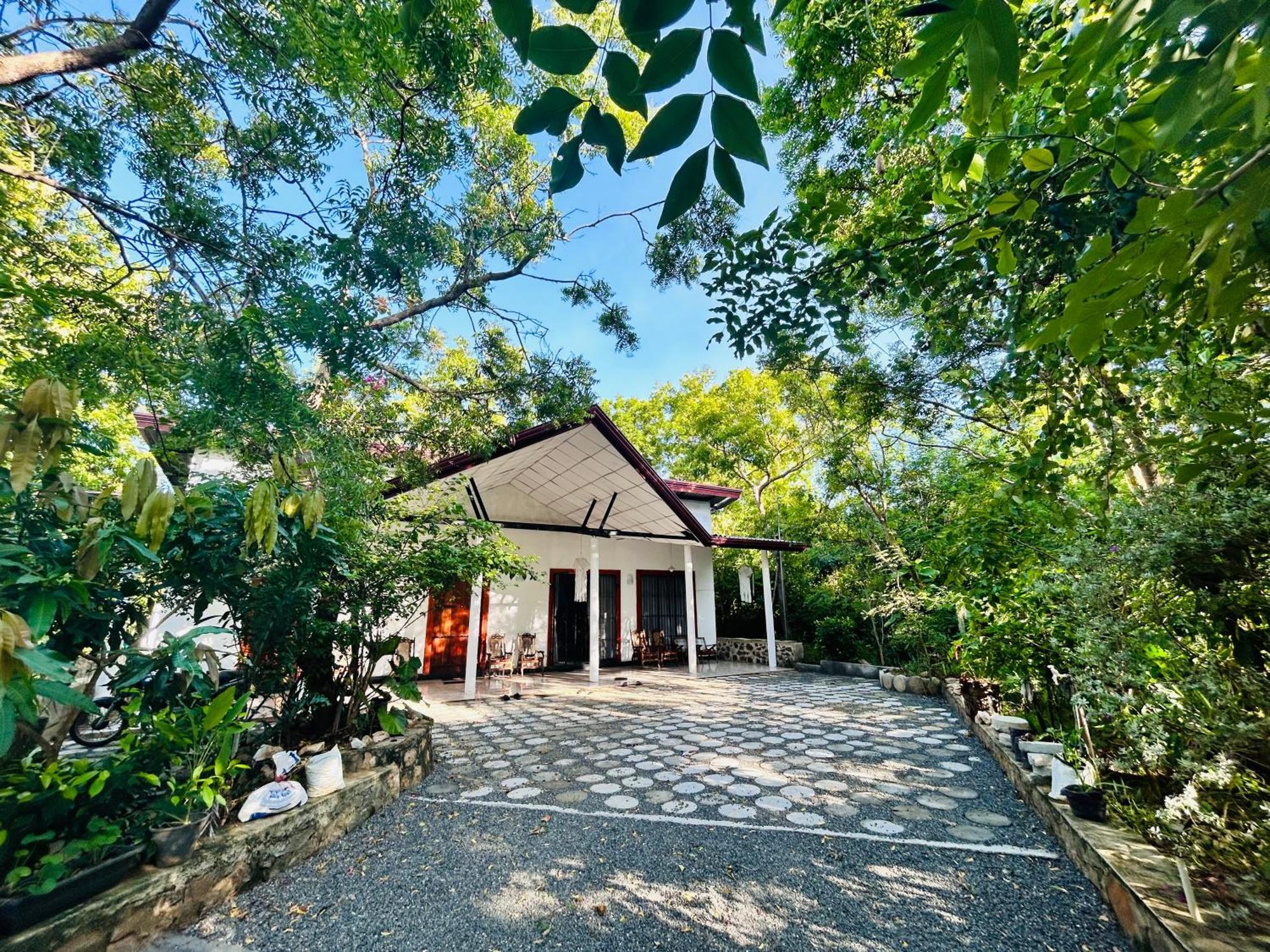 Neem Holiday Bungalow Yala Tissamaharama Eksteriør billede